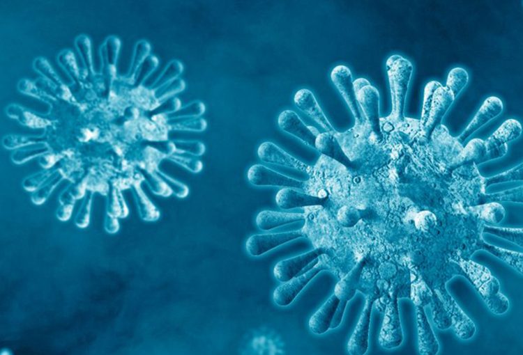 COVID e cervello: quali danni provoca il Virus